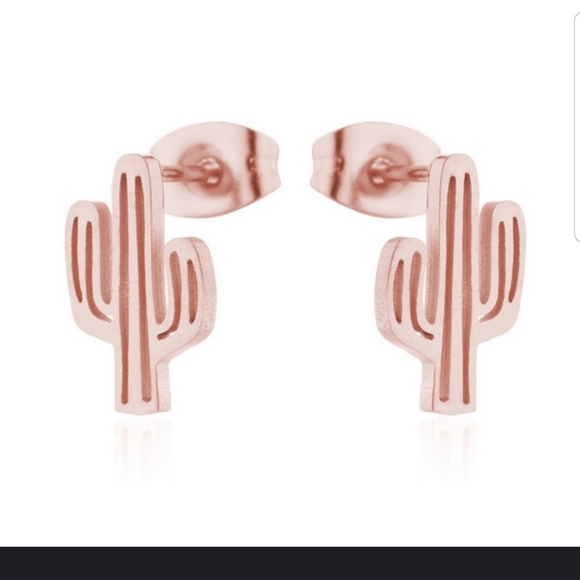 Jewelry - 🌵🌵So Cute Stainless Steel Cactus earrings 🌵🌵